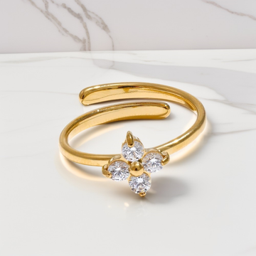 Nuve Ring